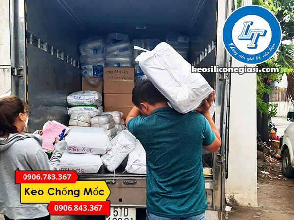 combo thùng keo chống mốc x’traseal SN- 505 giá sỉ rẻ nhất combo thùng keo chống mốc x’traseal SN- 505 giá sỉ rẻ nhất