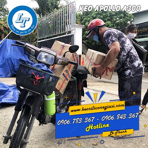 KEO APOLLO A300 bán giá sỉ thùng 25 chai KEO APOLLO A300 bán giá sỉ thùng 25 chai