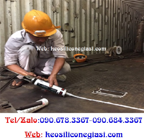 Keo xtraseal SN501 Keo xtraseal SN501