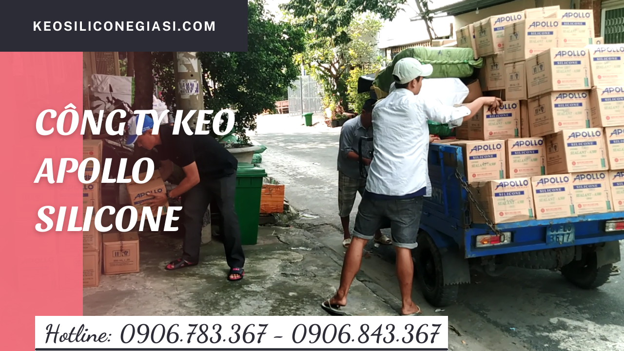 Công ty keo Apollo silicone giá sỉ rẻ tphcm 
