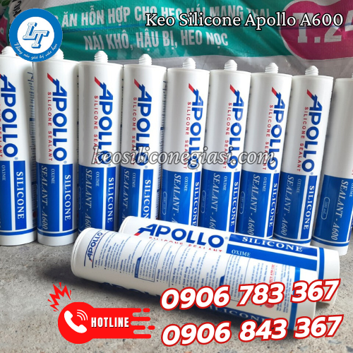 keo apollo a600 1 keo apollo a600 1