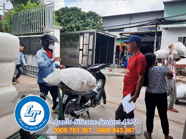 Mua keo Apollo Sealant A250 dán hồ cá cảnh Mua keo Apollo Sealant A250 dán hồ cá cảnh