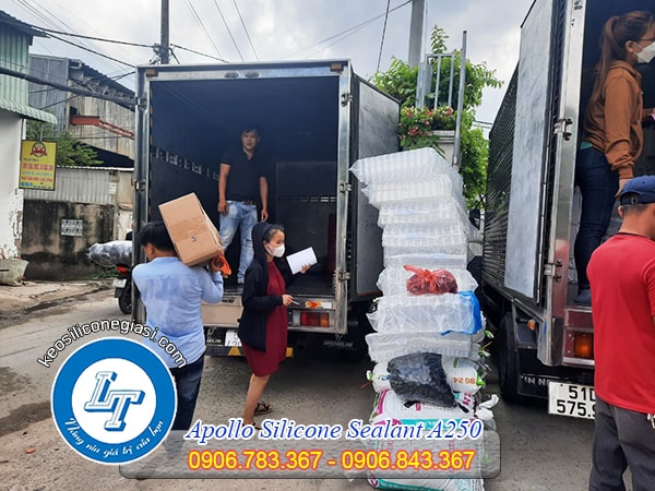 Mua keo Apollo Sealant A250 dán hồ cá cảnh Mua keo Apollo Sealant A250 dán hồ cá cảnh