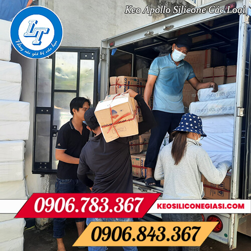 Tổng kho sỉ keo silicone Apollo giá rẻ Tổng kho sỉ keo silicone Apollo giá rẻ