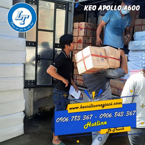 Cần mua KEO APOLLO A600 giá sỉ bao nhiêu tiền Cần mua KEO APOLLO A600 giá sỉ bao nhiêu tiền