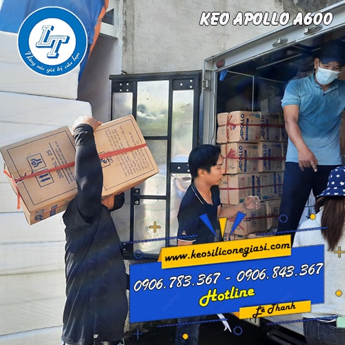 Cần mua KEO APOLLO A600 giá sỉ bao nhiêu tiền Cần mua KEO APOLLO A600 giá sỉ bao nhiêu tiền