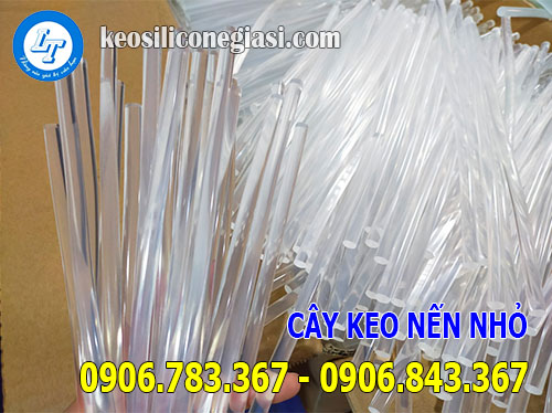 Cây keo nến nhỏ màu trắng trong