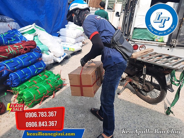 bật mí 2 loại Apollo dán kính, sàn gạch bán chạy nhất hiện nay bật mí 2 loại Apollo dán kính, sàn gạch bán chạy nhất hiện nay
