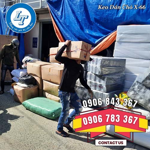 keo siêu dính X-66 hiệu con chó giá rẻ keo siêu dính X-66 hiệu con chó giá rẻ