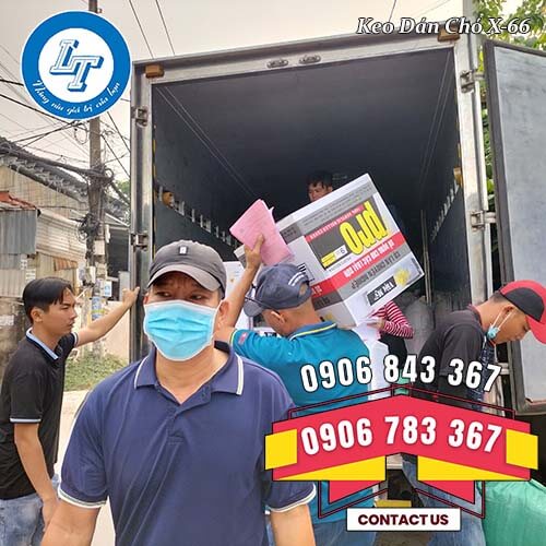 keo siêu dính X-66 hiệu con chó giá rẻ keo siêu dính X-66 hiệu con chó giá rẻ