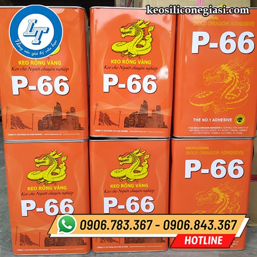 chuyên bán keo rồng vàng P-66 giá rẻ - giá sỉ chuyên bán keo rồng vàng P-66 giá rẻ - giá sỉ