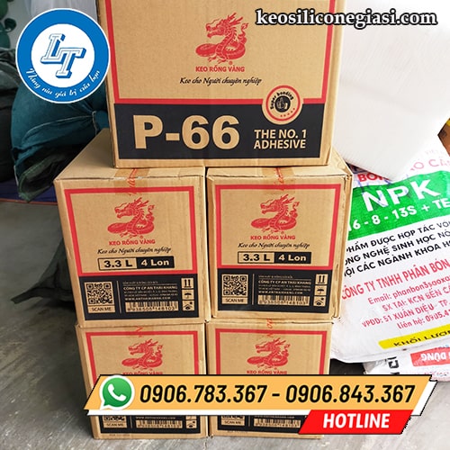 chuyên bán keo rồng vàng P-66 giá rẻ - giá sỉ chuyên bán keo rồng vàng P-66 giá rẻ - giá sỉ