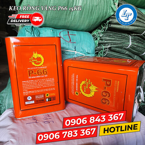 tìm kiếm xưởng bán keo rồng vàng P66 thùng 15kg giá rẻ 2 tìm kiếm xưởng bán keo rồng vàng P66 thùng 15kg giá rẻ 2
