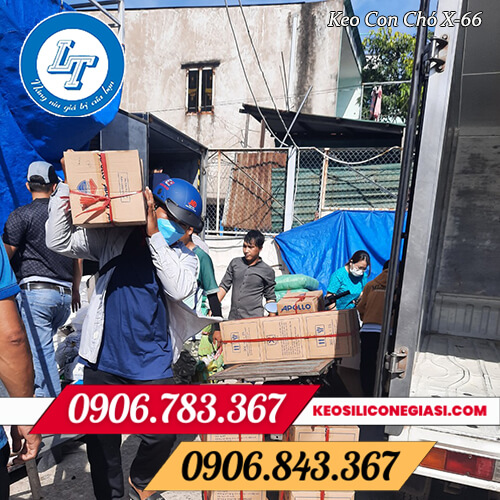 keo dán con chó X-66 giá sỉ giá rẻ tại kho keo dán con chó X-66 giá sỉ giá rẻ tại kho