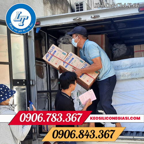 keo dán con chó X-66 giá sỉ giá rẻ tại kho keo dán con chó X-66 giá sỉ giá rẻ tại kho