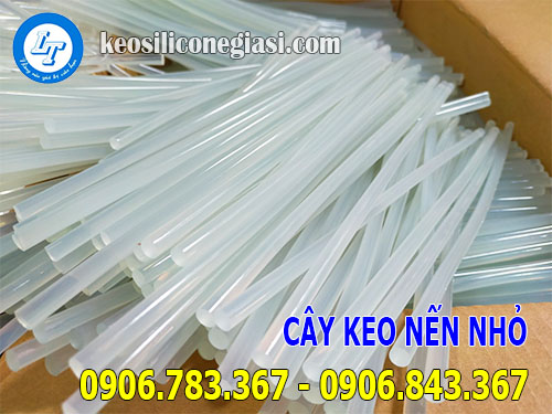 Sỉ cây keo nến nhỏ loại tốt