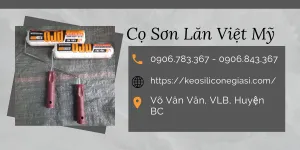 Mua CỌ LĂN SƠN TƯỜNG bán giá sỉ rẻ