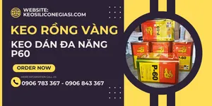 Mua KEO RỒNG VÀNG P60 ở đâu được giá sỉ tốt