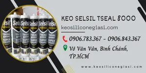 Đại lý phân phối KEO SELSIL TSEAL 8000