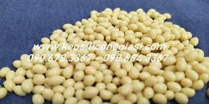 TÌM MUA KEO HẠT DÁN CẠNH MÀU ĐẬU NÀNH Ở ĐÂU GIÁ RẺ, SỈ