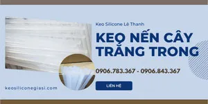 SỈ SỐ LƯỢNG LỚN KEO NẾN TRẮNG TRONG 100 CÂY