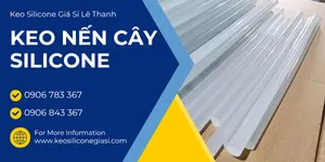 Chuyên sỉ lẻ KEO NẾN CÂY SILICONE size nhỏ, size lớn