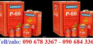 KEO RỒNG VÀNG P - 66- CÔNG DỤNG VÀ ĐỊA CHỈ BÁN