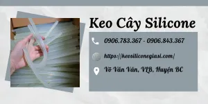 Mua sỉ KEO CÂY SILICON giá rẻ ưu đãi tại TP.HCM