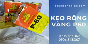 DÁN BẠT NUÔI TÔM BẰNG KEO RỒNG VÀNG P60 THÙNG 3.3 LÍT