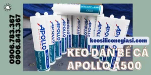 MUA KEO APOLLO A500 DÁN BỂ CÁ, MẶT KÍNH PHỔ BIẾN NHẤT