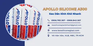 MUA KEO APOLLO A300 THẾ NÀO MỚI ĐƯỢC GIÁ TỐT - MUA Ở ĐÂU? CHÍNH HÃNG KHÔNG ?