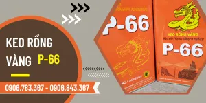Chuyên bán keo rồng vàng P-66 giá rẻ- giá sỉ