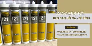 CHUYÊN SỈ KEO DÁN BỂ CÁ LỚN WACKER 121
