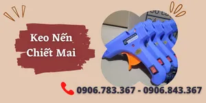 MUA SÚNG BẮN KEO NẾN CHIẾT CÂY MAI NGÀY TẾT