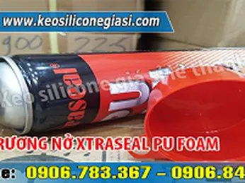 MUA KEO TRƯƠNG NỞ XTRASEAL PU FOAM GIÁ SỈ RẺ Ở ĐÂU?