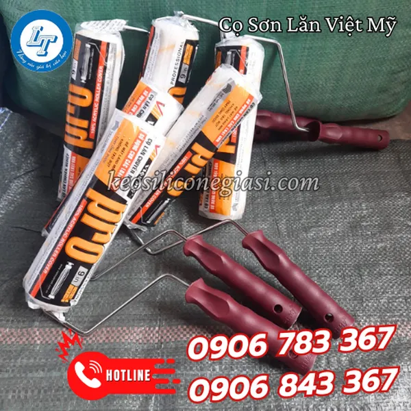 CỌ SƠN LĂN VIỆT MỸ