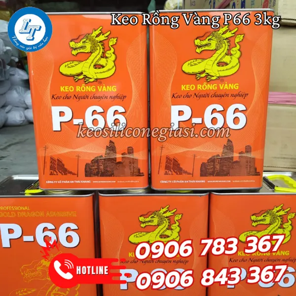 KEO RỒNG VÀNG P66 3KG
