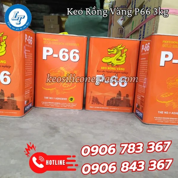KEO RỒNG VÀNG P66 3KG