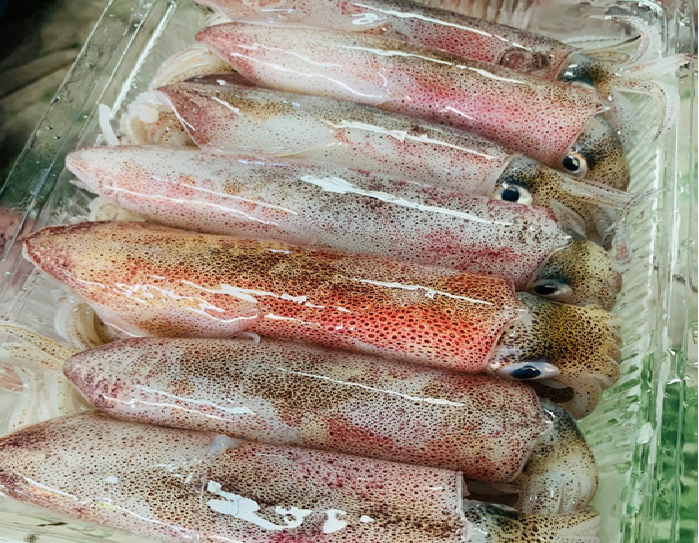 Mực Ống tươi