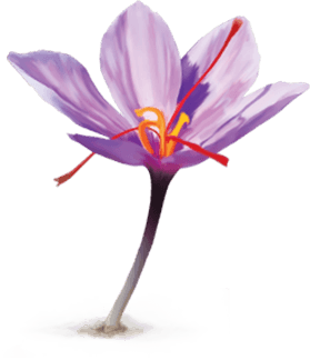 Nhụy hoa nghệ tây Saffron BHL