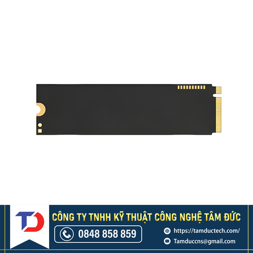 Ổ cứng Lexar LNM620X256G-RNNNG 256G - M2 PCIe Gen3 - R: 3500MB/s