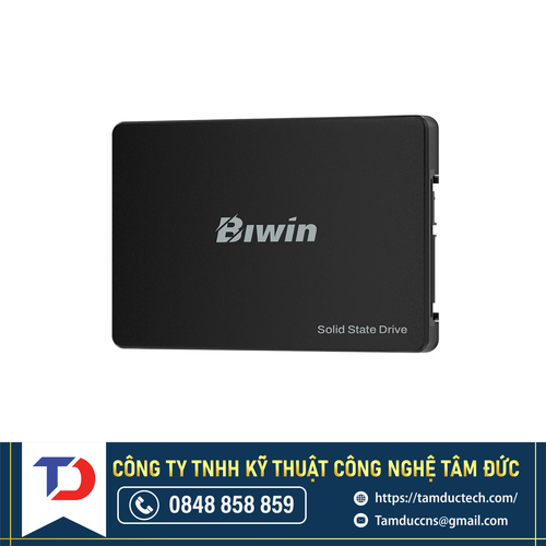 Ổ cứng SSD BM100NN256G-RGX