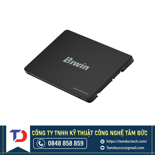 Ổ cứng SSD BM100NN256G-RGX