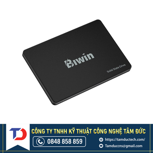 Ổ cứng SSD BM100NN256G-RGX