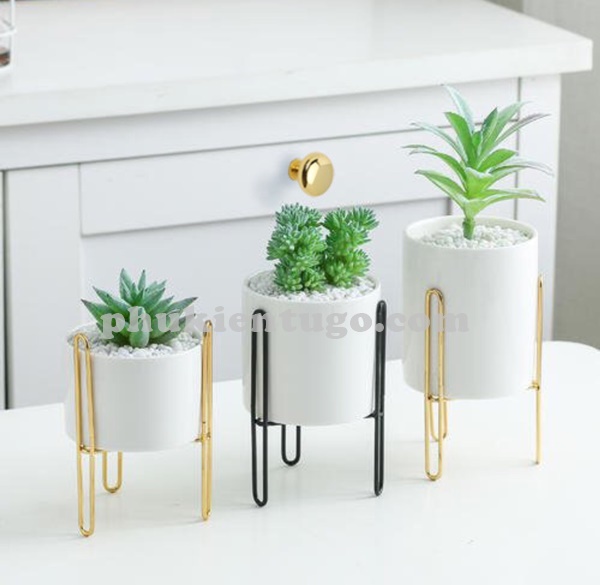 tay tròn vàng bóng mã số 2338 GB tay tròn vàng bóng mã số 2338 GB