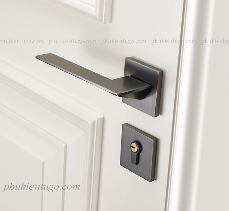 Khóa cửa vuông xám F61-2X