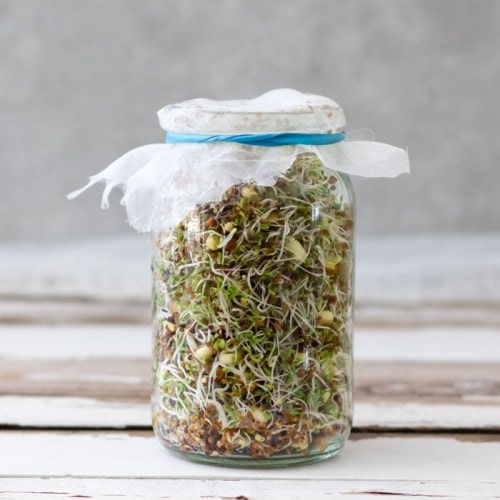 binh thuy tinh trong cay binh thuy tinh trong cay