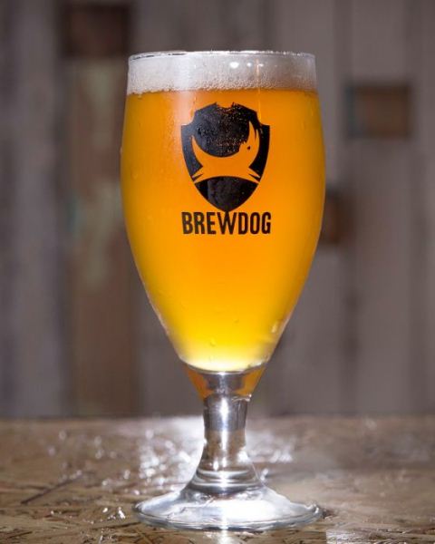 Bộ ly thủy tinh uống bia cao cấp in logo Bộ ly thủy tinh uống bia cao cấp in logo