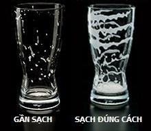 ly thủy tinh uống bia cao cấp ly thủy tinh uống bia cao cấp