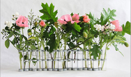 Ly coc thuy tinh ly-coc-thuy-tinh.jpg (39 KB)